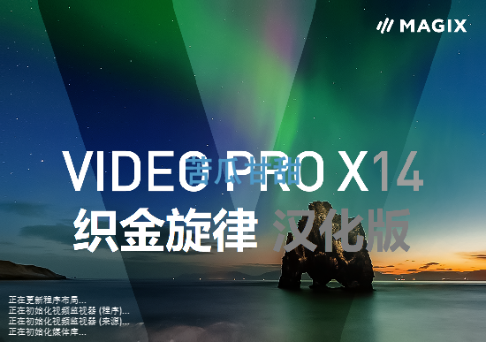 视频编辑软件 MAGIX Video Pro X14 v20.0.1.159 中文汉化版插图
